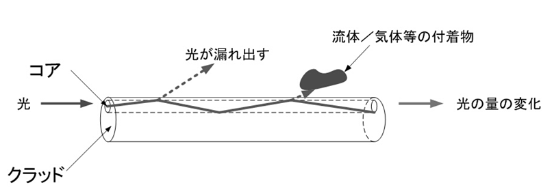 02_光にはどのような性質がありますか＜２＞