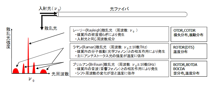 図1