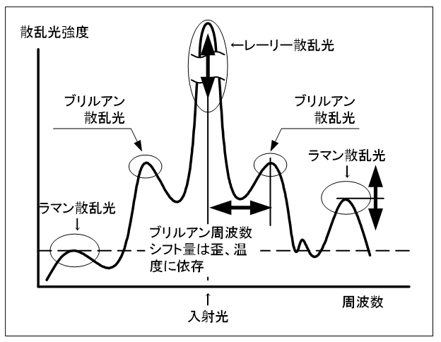 17_分布型計測の後方散乱光の種類