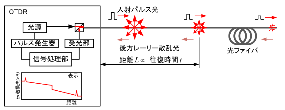 図２